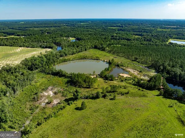 541 Wilson Rd E, Vidalia, GA 30474