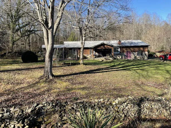 1161 Stokely Loop Rd, Del Rio, TN 37727