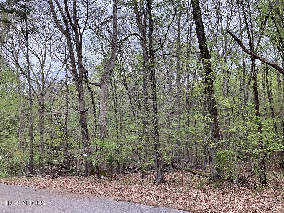 2nd image of 910 Eagle Point Dr Lot 9-10