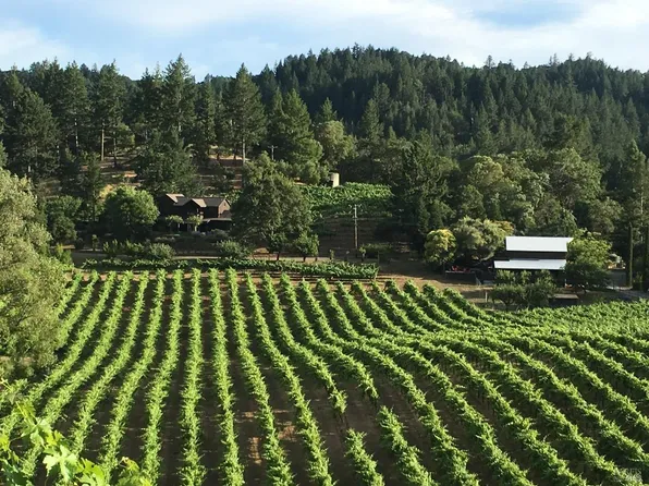 2335 West Dry Creek Road, Healdsburg, CA 95448