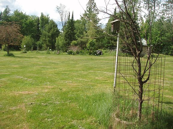 2nd image of 80521 Bear Lake Rd