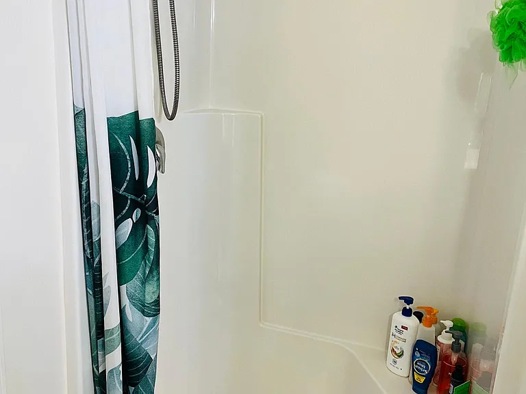 Main bath separate shower