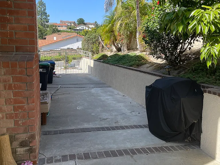 Side Yard