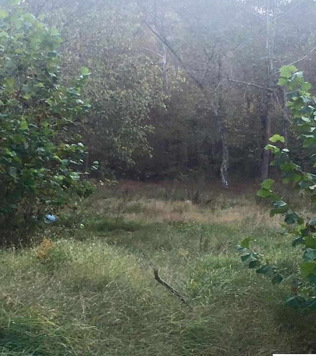 2nd image of 96 E Lynn Rd