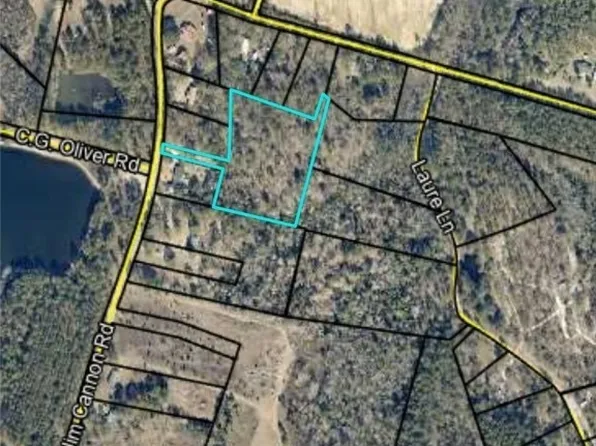 0 Jim Cannon Road, Collins, GA 30421