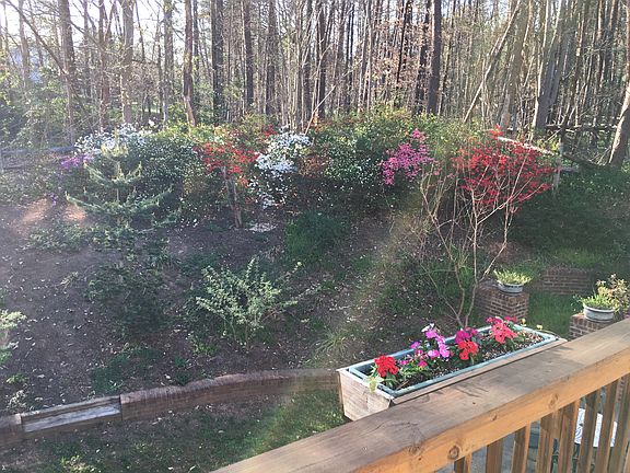 Spring from the Deck