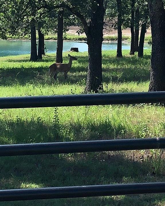 1st image of 4472 County Road 133