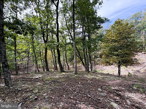 2nd image of 24 Long Acres
