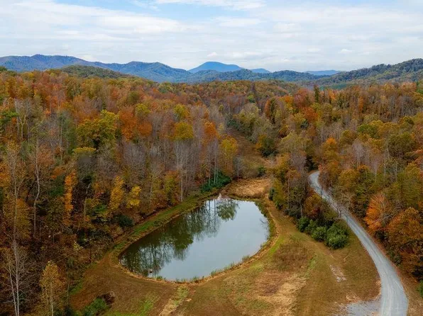 0 Willow Branch Ln, Faber, VA 22938