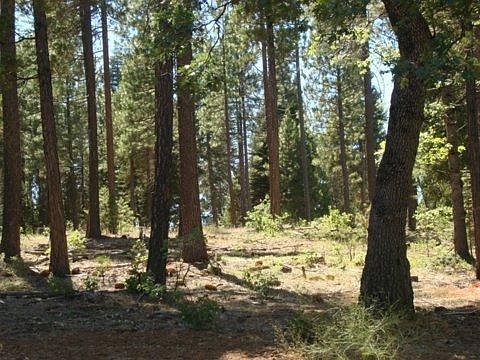 1st image of 39901 Cassel Dr
