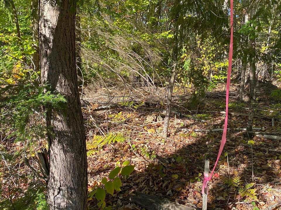 2nd image of 324 Bakerstown Road #B