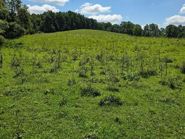 690 Grassy Spring Rd, Columbia, KY 42728