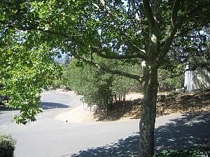 2nd image of 1 Chapel Hill Dr