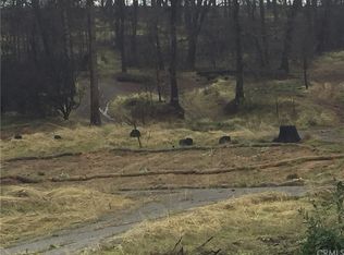 16555 Starview Loop Rd, Cobb, CA 95426