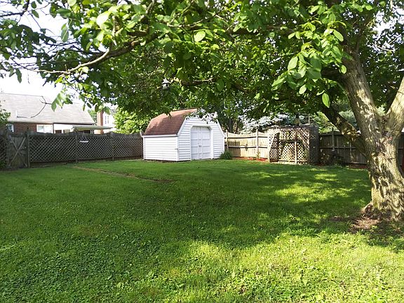 back yard with shed