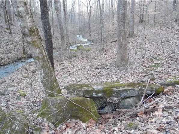 65 Purcell Ln, Leoma, TN 38468