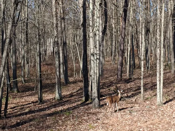 118 Center Trl, Hawley, PA 18428