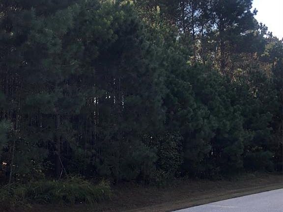 3rd image of 693 Eagles Harbor Dr