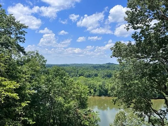 616 Misty Lake Dr — Photo 6