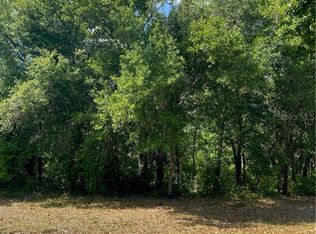 Borinquen Dr, Kissimmee, FL 34744