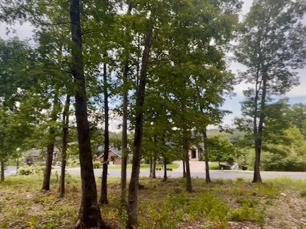 Tbd Pinehurst Court, Branson, MO 65616