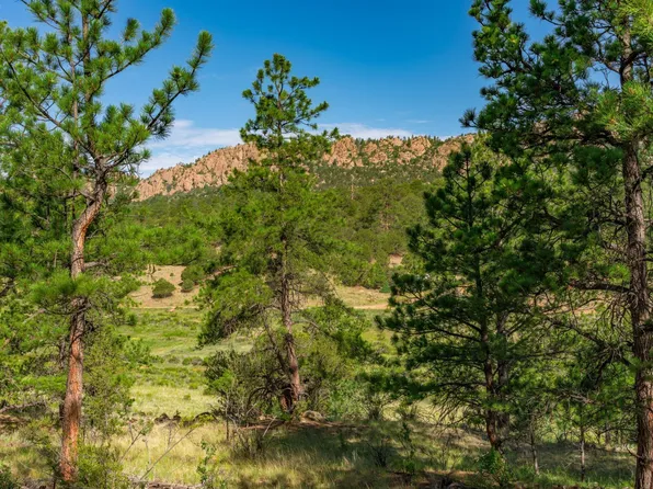 406 Ferris Dr, Westcliffe, CO 81252