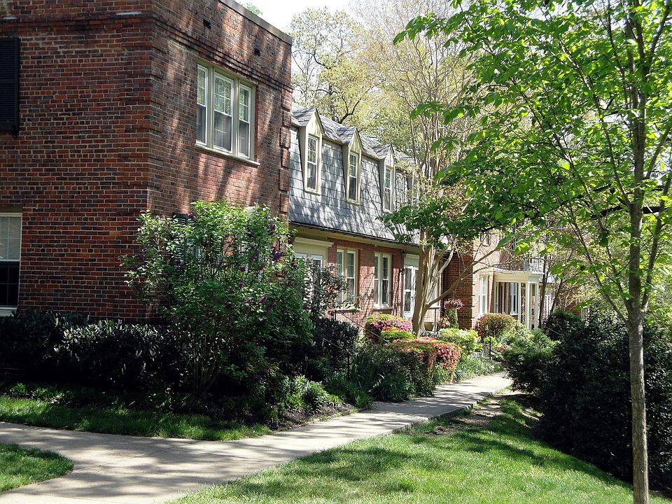 Brick townhouse facing a small woods.