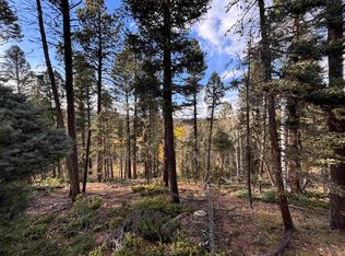 11 Lakewood Way, Angel Fire, NM 87710