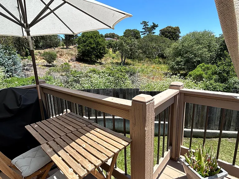 102 Laguna Pl — Photo 23