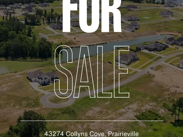 43274 Collyns Cv, Prairieville, LA 70769