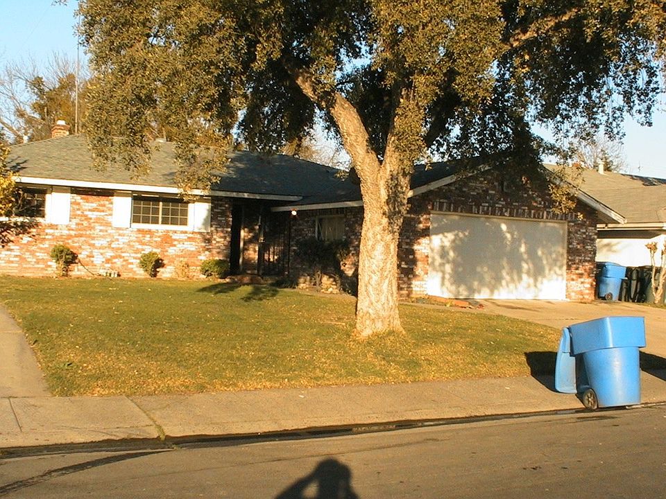 Low maintenance brick with big shade tree in front
