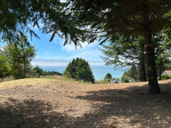 542 & 554 Ridge Rd, Whitethorn, CA 95589