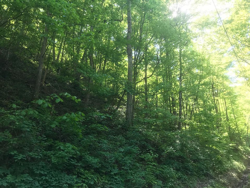 2nd image of Black Walnut Flats Rd