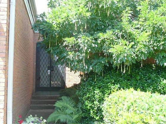 2nd image of 4040 Dumaine Way