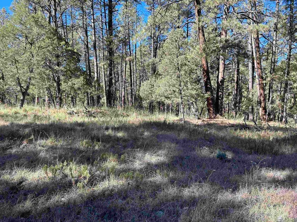 Pine Dr, Timberon, NM 88350