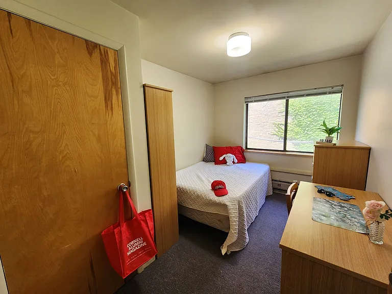 Collegetown Court, 208 Dryden Road — Photo 134