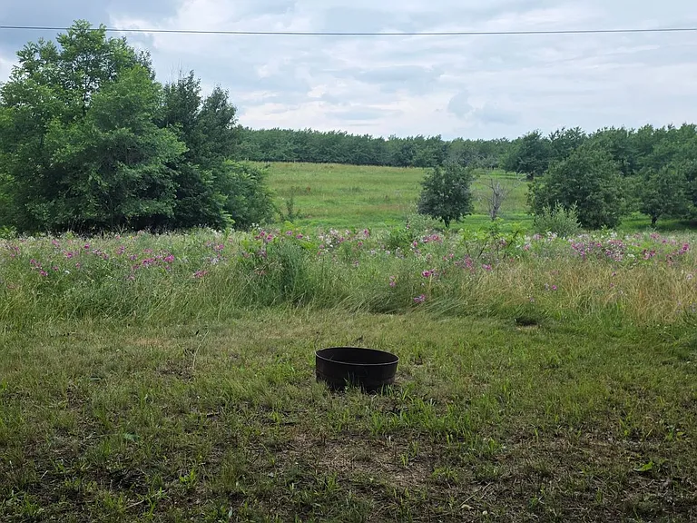 13497 Center Rd — Photo 2