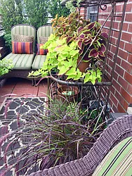 Sold by Harrison Properties