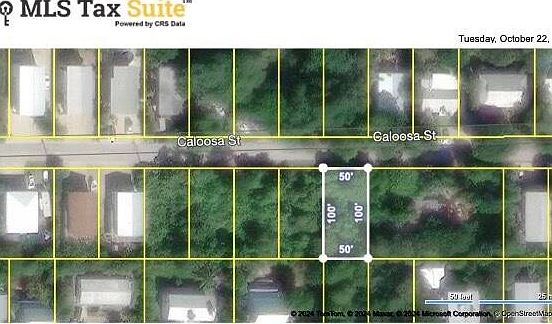 2nd image of LOT 32 Caloosa St