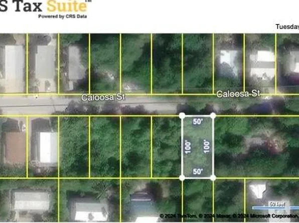 LOT 32 Caloosa St, Summerland Key, FL 33042