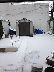 Rented by Elinor Taasa, LREB