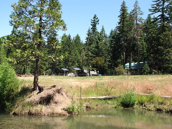 Year round creek feeds pond