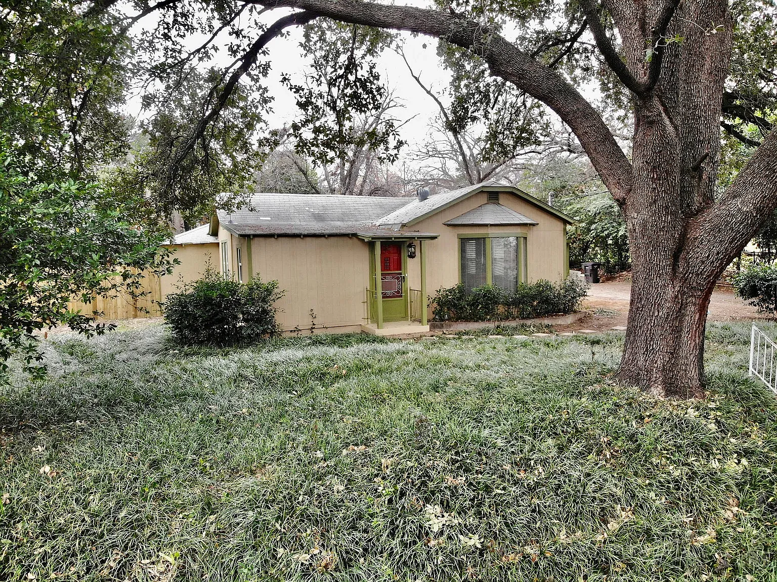 515 Palmetto Dr — Photo 3
