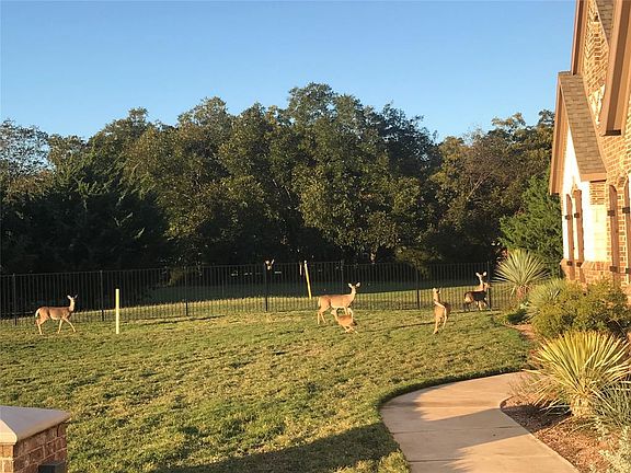 5th image of 6349 Pecan Orchard Ct