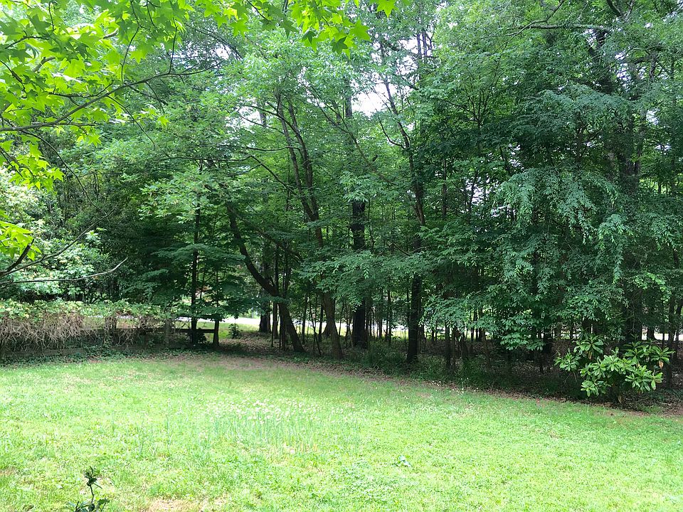 Flat, buildable .46 acres 