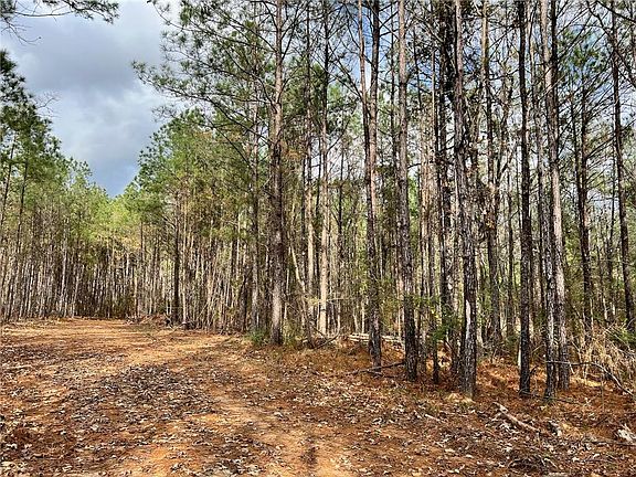 2nd image of Nation Rd