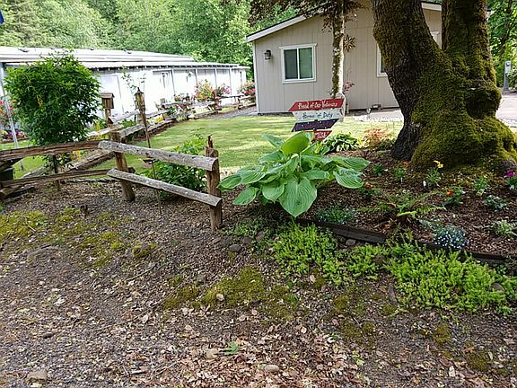 Front yard from road