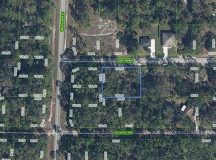 3154 Carlton Ave LOT 2, Lake Placid, FL 33852