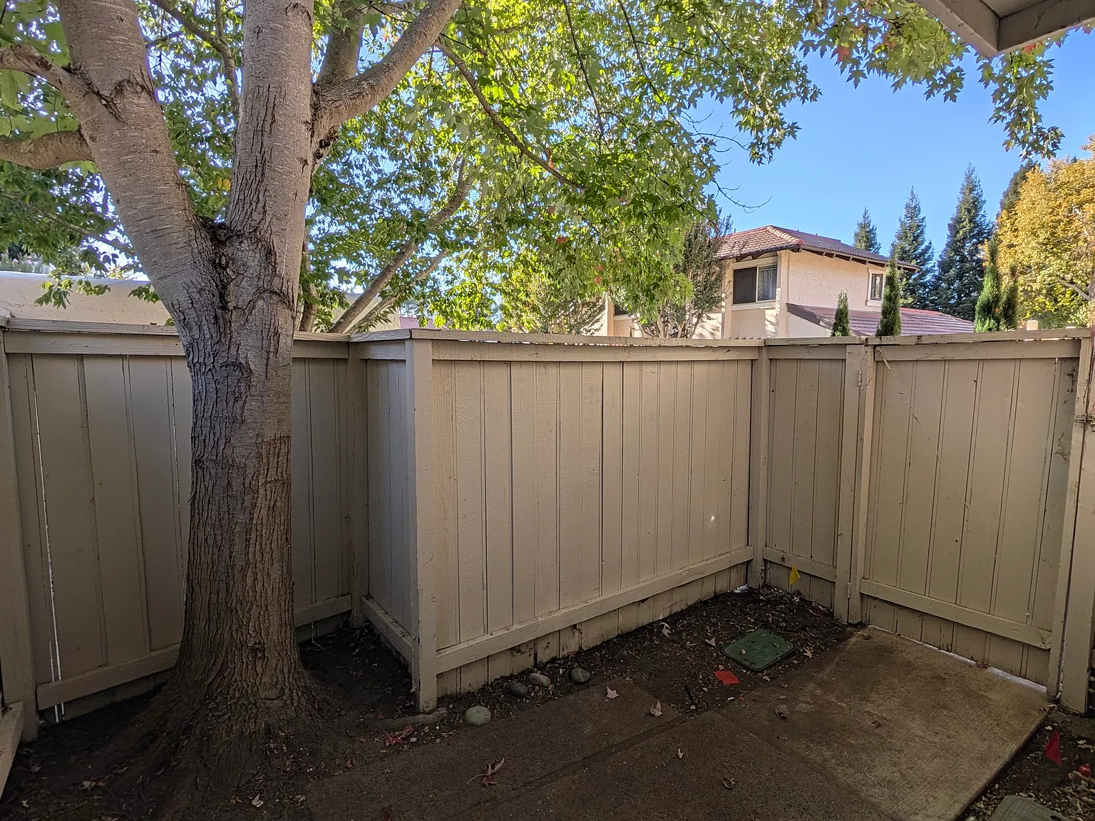 3 bed, 2.5 bath, 1440 sqft, $4,500 — Photo 3