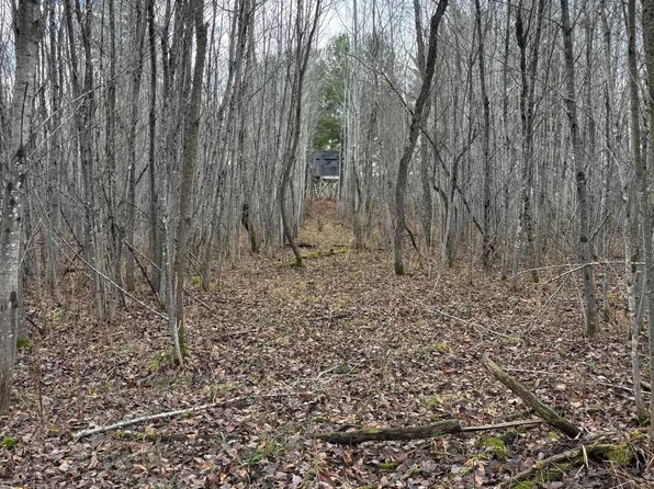 Brown Bridge Rd, Traverse City, MI 49696